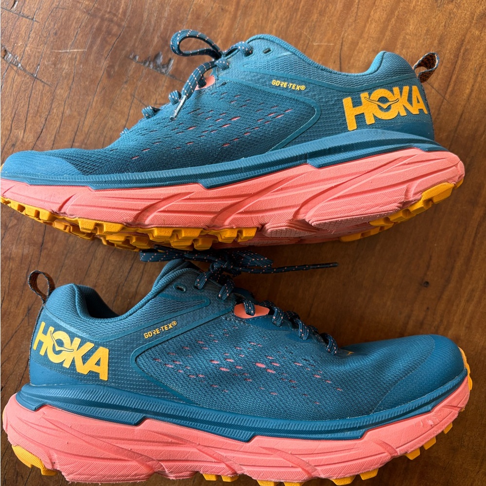 Hoka Women's Teal and Pink Gore-Tex waterproof trail Running Shoes